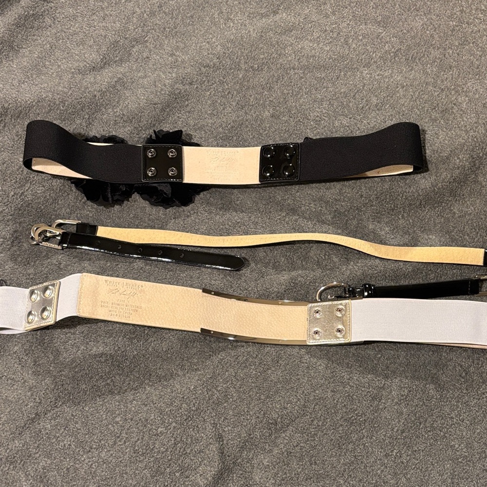 White House Black Market Floral Black and Metallic Belt Trio - Picture 4 of 8